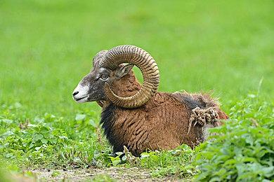 《使命召唤：黑色行动6》或将重新加入抓钩枪功能